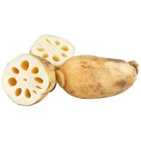 ราคา รากบัวจีน กก.ละ (244985581917214)