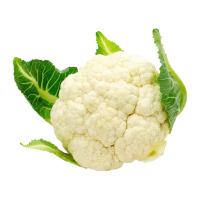 ราคา ดอกกะหล่ำขาวจีน 1 กก. (7606380331203)
