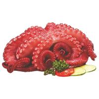 ราคา คูซีนมาสเตอร์ หมึกทาโกะต้มแช่แข็ง 1 กก. (519462532531823)