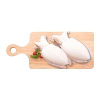 ราคา หมึกกระดองเจาะใหญ่ 1 กก. (711874958721893)