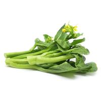 ราคา ยอดดอกกวางตุ้ง แพ็ค 500 ก. (475386016993827)