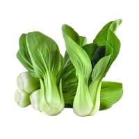 ราคา ผักกาดฮ่องเต้ แพ็ค 500 ก. (369794858480718)