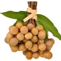 ราคา Del-longan Cat 10 Kg (kg) (254576310526846)