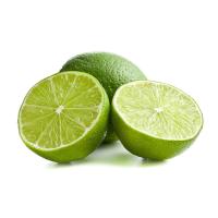 ราคา มะนาวแป้น ลูก ละ (7115249418435)