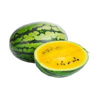 ราคา แตงโมตอร์ปิโดเหลือง ยกลูก กก.ละ (76346042373079)