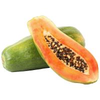 ราคา มะละกอเรดเลดี้ 10 กก.ขึ้นไป กก.ละ (983936581396106)