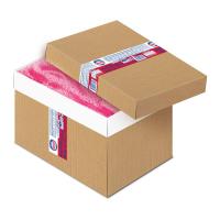 ราคา เนสท์เล่ไอศครีมสตอเบอรี่ทวิส 4 กก (7115336941763)