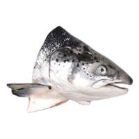 ราคา Dmหัวปลาแซลมอนสด 5-6กก./ตัว (78177179177534)