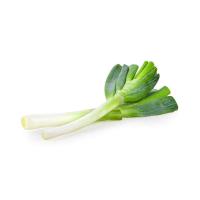 ราคา ต้นหอมญี่ปุ่น กก.ละ (7606382166211)