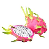 ราคา Preแก้วมังกรเวียดนาม16-18x4ลูก (730696537410666)