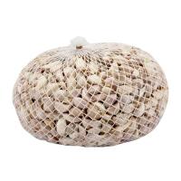 ราคา ลด-กระเทียมไทยแกะกลีบแพ็ค 1 กก. (148817292669598)