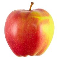 ราคา Pre_แอปเปิ้ลแจ๊ส#120 - แพ็ค 10 (620780475168047)