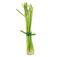 ราคา ตะไคร้ undefined 300 กรัม Std ลดราคา (899853092096144)