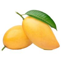 ราคา มะม่วงน้ำดอกไม้สุก 4 กล่อง (573177963539833)