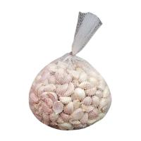 ราคา ลด-กระเทียมไทยแกะกลีบ 500กรัม (884131628975438)