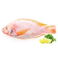 ราคา ปลาทับทิมควักไส้ขอดเกล็ด700-900ก. (937612181774345)