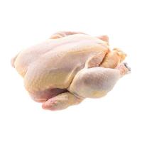 ราคา ไก่ตัวตัดหัวตัดขา(1.6-2.3กก./ตัว) (267401370901619)