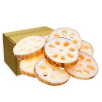 ราคา รากบัวจีน10กก.ยกลัง - กก.ละ (203361773874255)