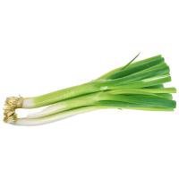 ราคา ต้นหอมญี่ปุ่นถุงใหญ่ กก.ละ (219664493855878)