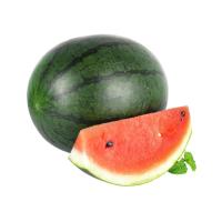 ราคา แตงโมกินรี ยกลูก กก.ละ. (638187706216653)