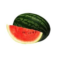 ราคา แตงโมแอฟริกา จัมโบ้ ยกลูก กก.ละ (325268604346846)