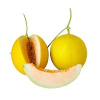 ราคา แคนตาลูปโกลเด้นเลดี้ ยกลูก กก.ละ (901073460722464)