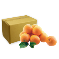 ราคา Pre_ส้มนาเวล ลังละ (255107647754778)