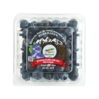 ราคา บลูเบอร์รี่ 125 G -แพค ลดราคา (983779051160)