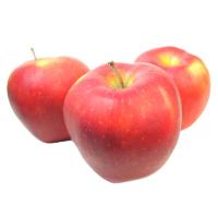 ราคา Pre_แอปเปิ้ลแดง#113 - แพ็ค 10 (15624220283667)