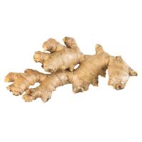 ราคา ขิงแก่ เบอร์เล็ก ยกลัง undefined กก.ละ (847273866889543)