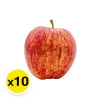 ราคา แอปเปิ้ลกาล่า เบอร์ 125 แพ็ค 10 ลูก (808021301560388)