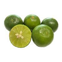 ราคา มะนาวแป้น 10 ลูก (7275698356419)