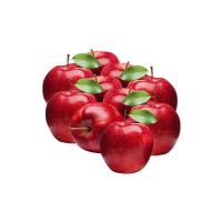 ราคา แอปเปิ้ลแดง เบอร์ 113 แพ็ค 10 ลูก (7275694981315)