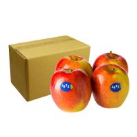 ราคา แอปเปิ้ลแจ๊ส เบอร์ 120 ยกลัง (7499786256579)