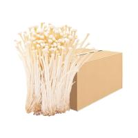 ราคา เห็ดเข็มทอง 200กรัม ยกลัง(1x25) (7275675287747)