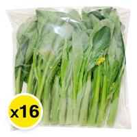 ราคา ยอดดอกกวางตุ้ง 250 ก. x 16 (406911555646270)