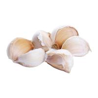 ราคา กระเทียมจีนแกะกลีบใหญ่ (869395617703820)