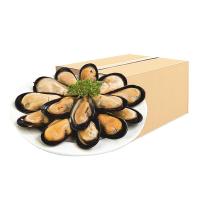 ราคา หอยแมลงภู่ชิลีแช่แข็ง ครึ่งฝา 40-60 ชิ้น x 10 (71505938314518)