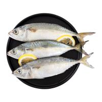 ราคา ปลาทูนำเข้าแช่แข็ง (4-6 ตัว/กก.) กก.ละ (11504365701469)