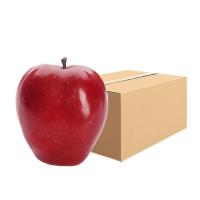 ราคา แอปเปิ้ลแดง เบอร์ 113 แพ็ค 8 ลูก (846753682388554)