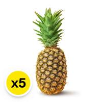 ราคา สับปะรดปัตตาเวียเนื้อ 1 ถุง 5 ลูก (118562173380980)