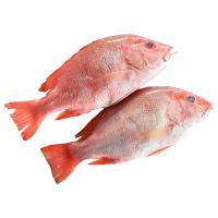 ราคา ปลากะพงแดง ขนาดกลาง 1 กก. (573266377975623)