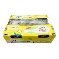 ราคา เซสปรี กีวี่ทอง เบอร์ 44 ยกลัง (7499725242563)