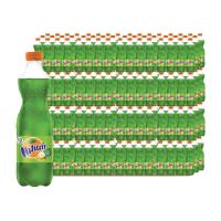 ราคา แฟนต้า น้ำอัดลม กลิ่นฟรุตพันช์ 455 มล. 12 ขวด x 25 แพ็ค (888667249867708)