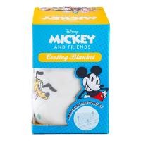 ราคา Lt Disney ผ้าห่มเย็น60x80 คละลาย (575736114080397)