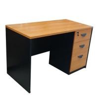 ราคา ไทยซันสปอร์ต โต๊ะคอมพิวเตอร์ 120x60 ซม. รุ่น Tfw-n-d2-01-120 (496497202933295)