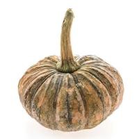 ราคา ฟักทองลูกเล็ก undefined กก. ละ (505818974728342)