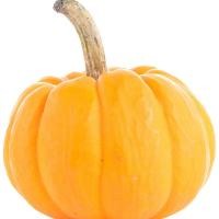 ราคา ฟักทองลูกเล็ก ถุงใหญ่ 1 กก. (345321379574239)