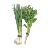 ราคา ต้นหอม+ผักชี 150 กรัม แพ็คละ (7497524117699)