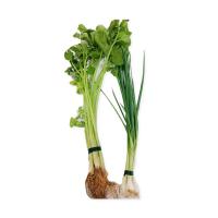 ราคา ต้นหอม+ขึ้นฉ่าย150 กรัม แพ็คละ (7275697701059)